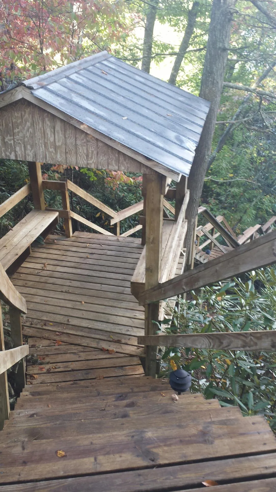Metal roofed shelter over wooden steps on a wooded walkway — Skylight Repair & Installation work by our crew in Rose