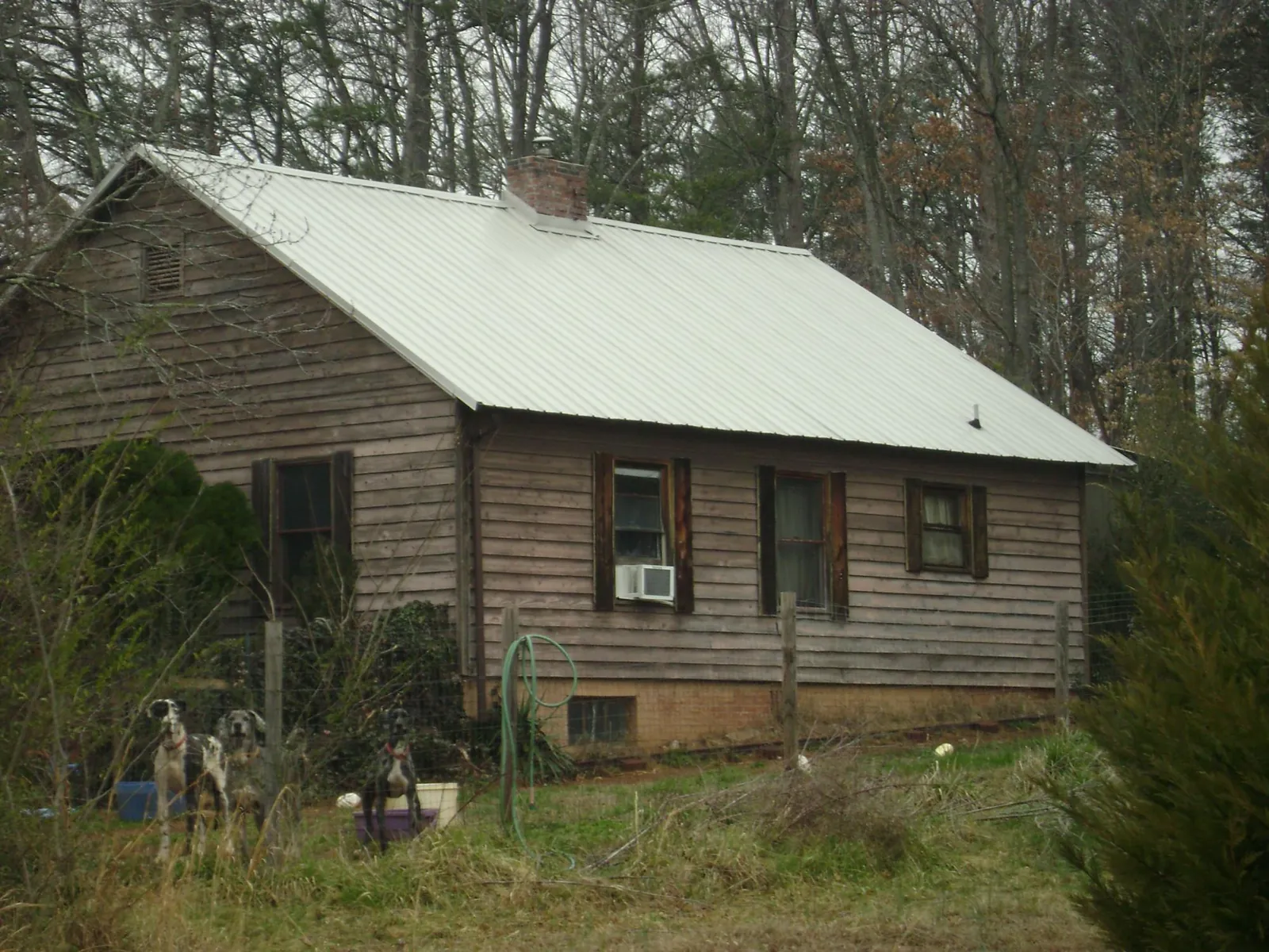 White metal roof on an old wood sided farmhouse, from a Metal Roof Installation job in Rose